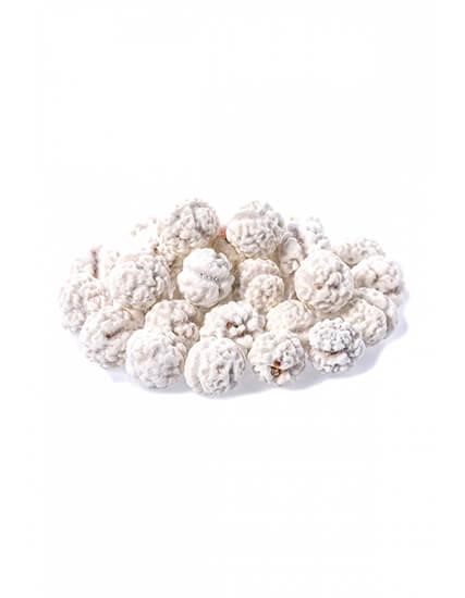 Şekerli Denizli Leblebisi 1 Kg Coğrafi İşaretli